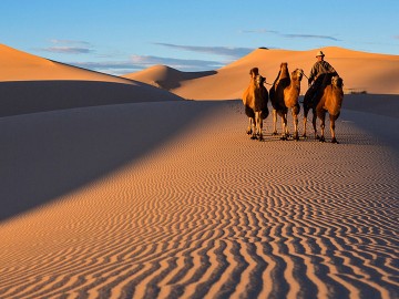 Gobi Desert Tour and Terelj National Park Tour